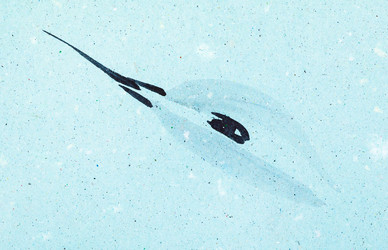 Similar image 16224824