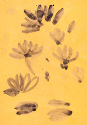 Similar image 16224983