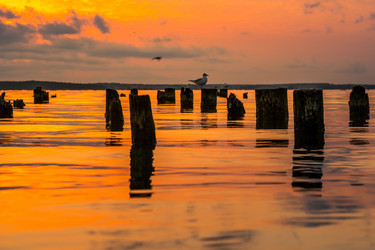 Similar image 15927564