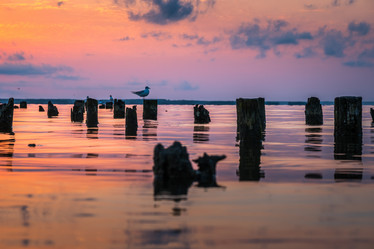 Similar image 15927565