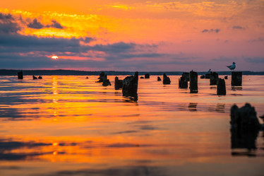 Similar image 15927566