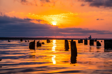 Similar image 15927568