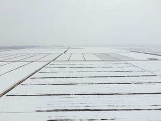 Similar image 16222937