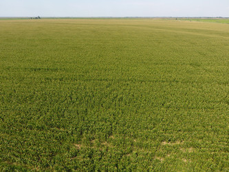 Similar image 16222325