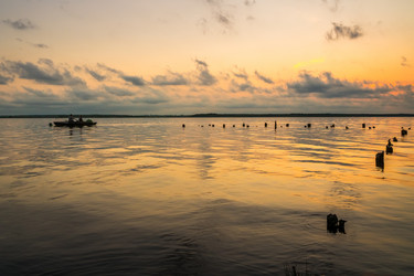 Similar image 15927384