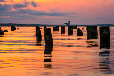 Similar image 15927390