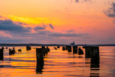 Similar image 15927392