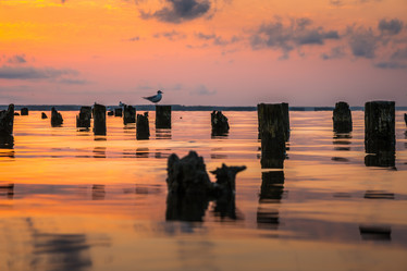 Similar image 15927395