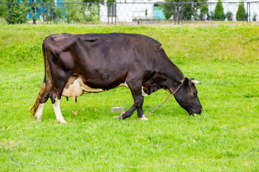 Similar image 16006577