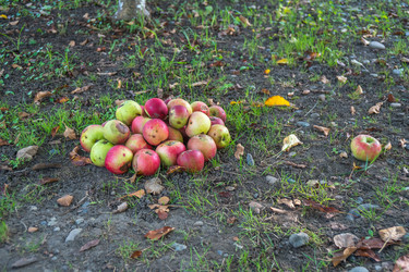 Similar image 15927594