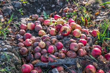 Similar image 15927596