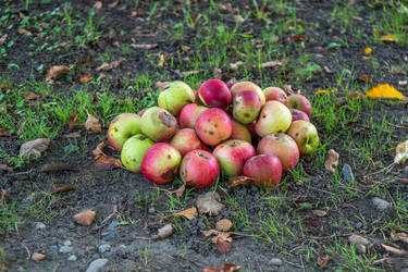 Similar image 15927597