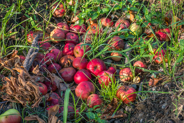 Similar image 15927598