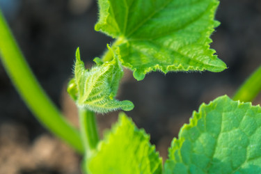 Similar image 15927599