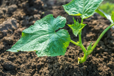 Similar image 15927600