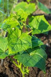 Similar image 15927601