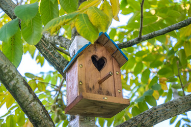 Similar image 15927685