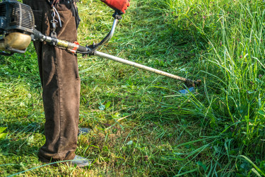 Similar image 15927604