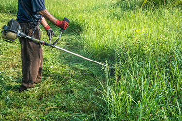 Similar image 15927605