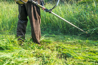 Similar image 15927640