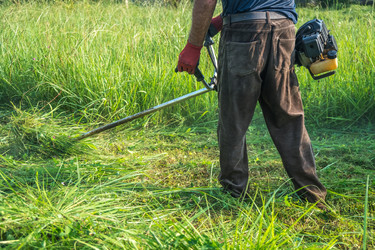 Similar image 15927641