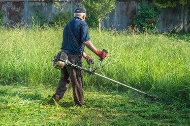 Similar image 15927642