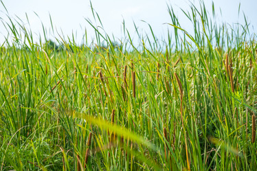 Similar image 15927644