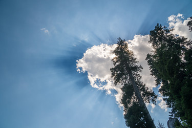 Similar image 15927619