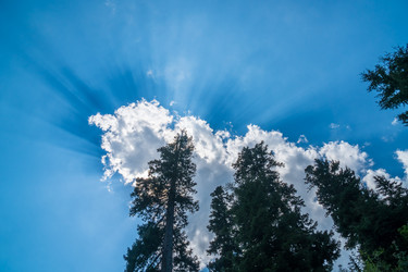 Similar image 15927621