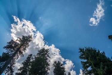 Similar image 15927622