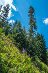 Similar image 15927624