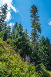 Similar image 15927626