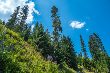 Similar image 15927628