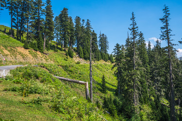 Similar image 15927629