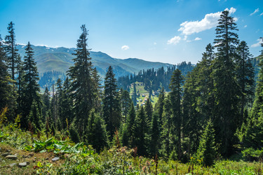 Similar image 15927630