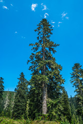 Similar image 15927577