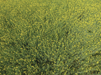 Similar image 16222328