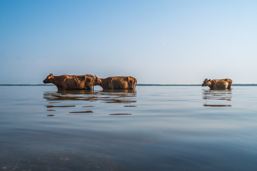 Similar image 15927670