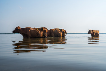 Similar image 15927719