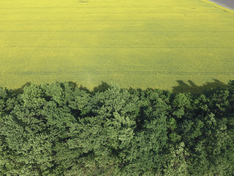 Similar image 16264749