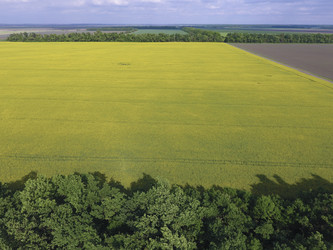 Similar image 16264781