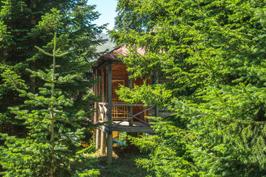 Similar image 15927683