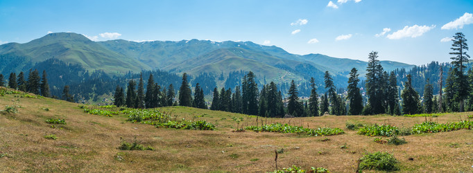 Similar image 15927697