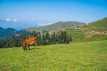 Similar image 15927708