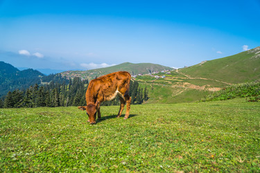 Similar image 15927713