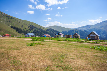 Similar image 15927727