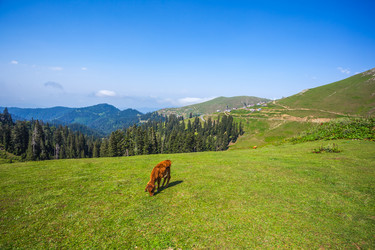 Similar image 15927749