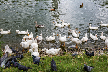 Similar image 16112161