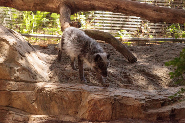 Similar image 15916193