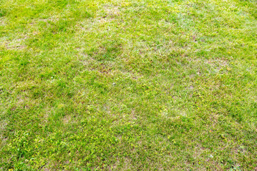 Similar image 16055939